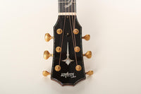 Taylor - PS14ce