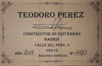 Teodoro Pérez - Maestro Especial 2017