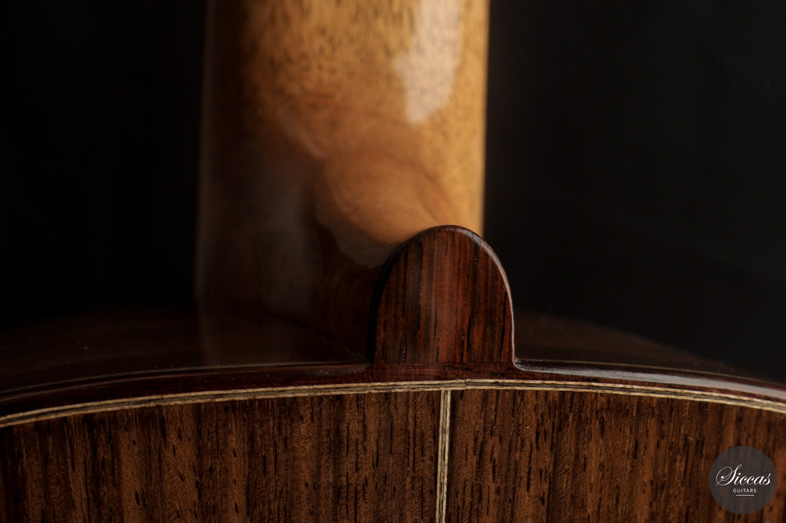 Tobias Braun - 2025 - Santos Hernandez 1924