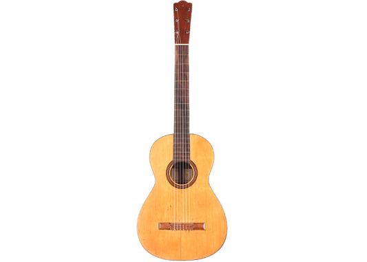 Vicente Arias - 1874