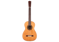 Vicente Arias - 1885