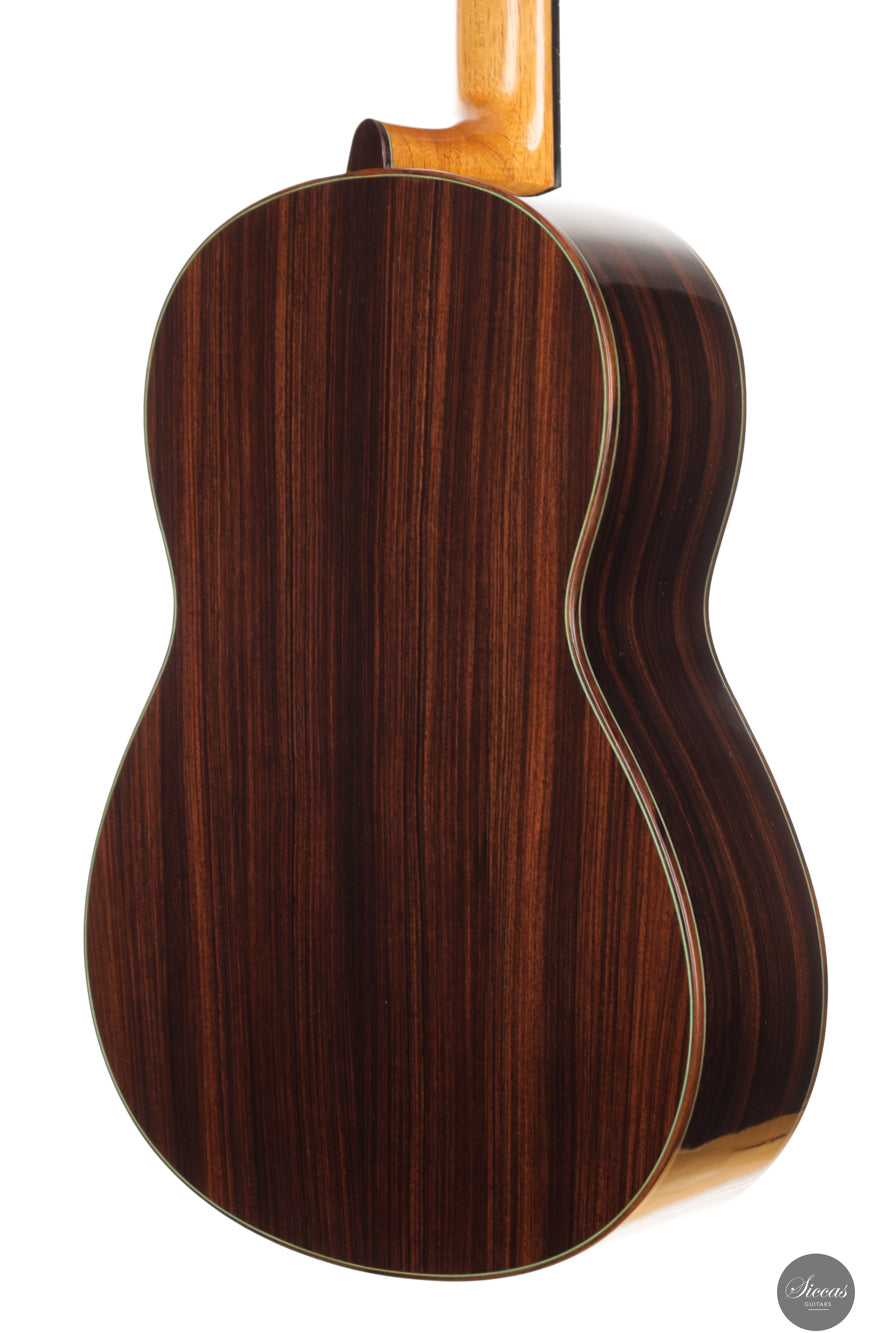 Vicente Carrillo - 2025 Maestro NX - Indian rosewood
