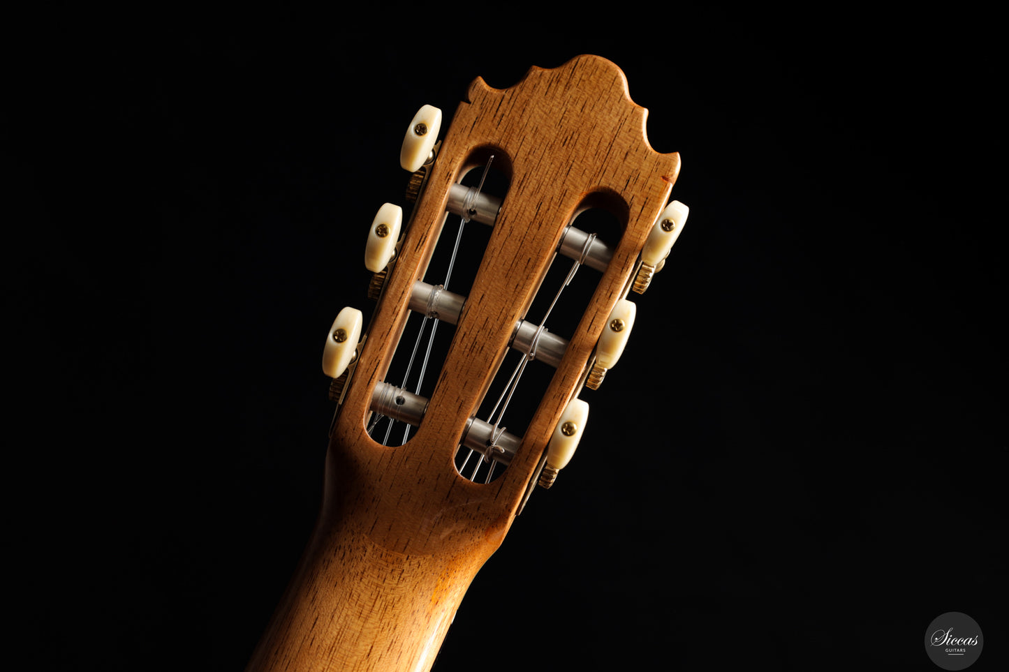 Vicente Carrillo - 2025 Maestro NX - Indian rosewood