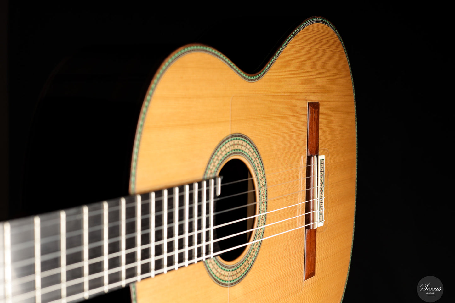 Vicente Carrillo - 2025 Maestro NX - Indian rosewood