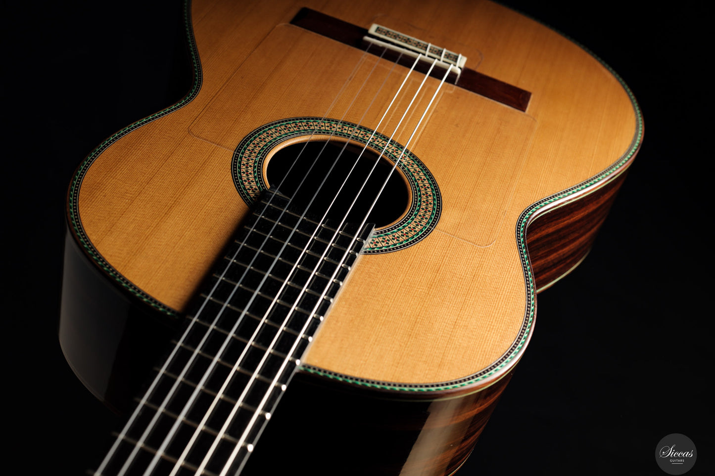 Vicente Carrillo - 2025 Maestro NX - Indian rosewood