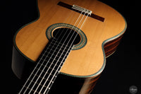 Vicente Carrillo - 2025 Maestro NX - Indian rosewood