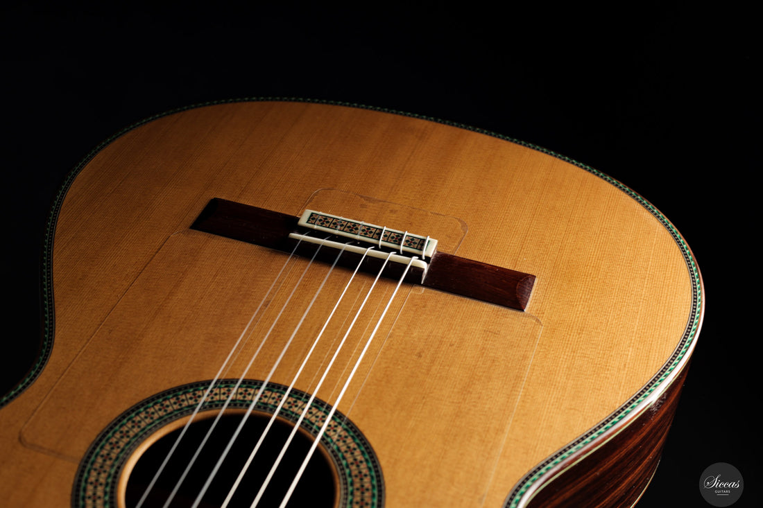 Vicente Carrillo - 2025 Maestro NX - Indian rosewood