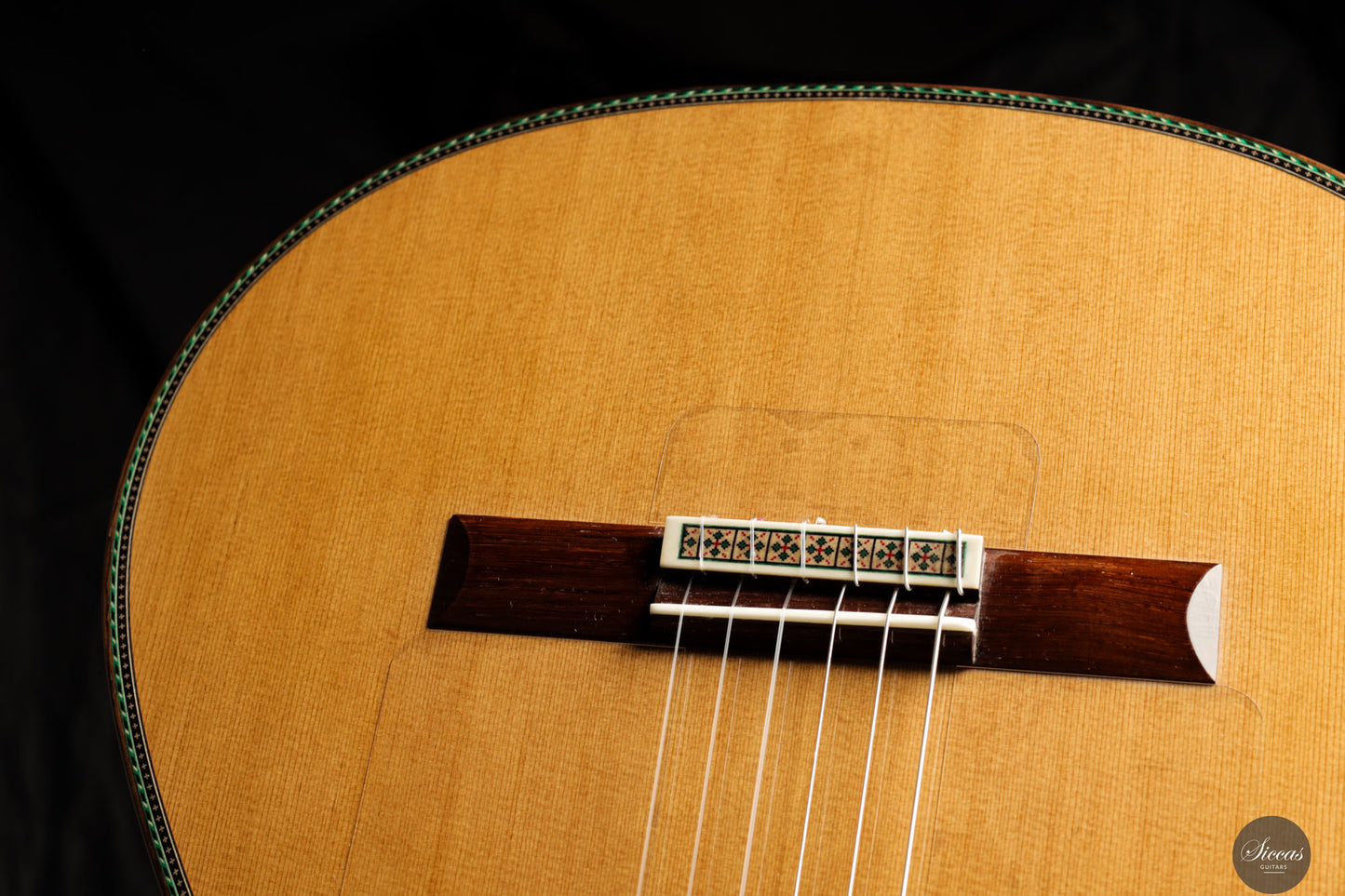 Vicente Carrillo - 2025 Maestro NX - Indian rosewood