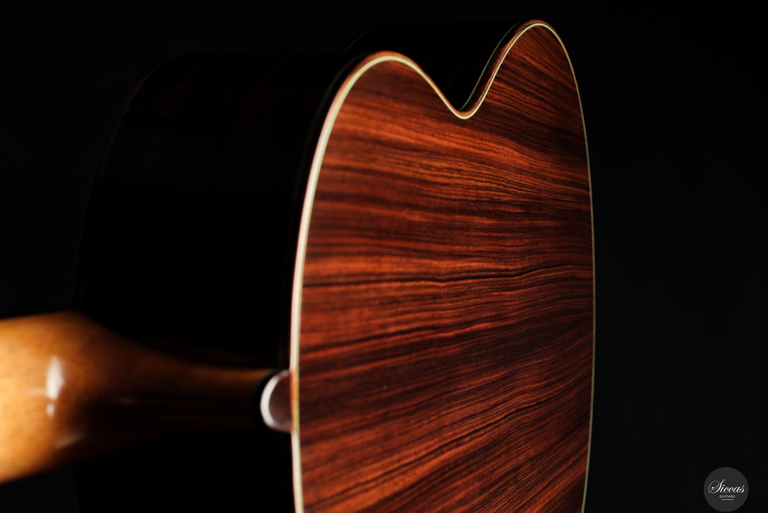 Vicente Carrillo - 2025 Maestro NX - Indian rosewood