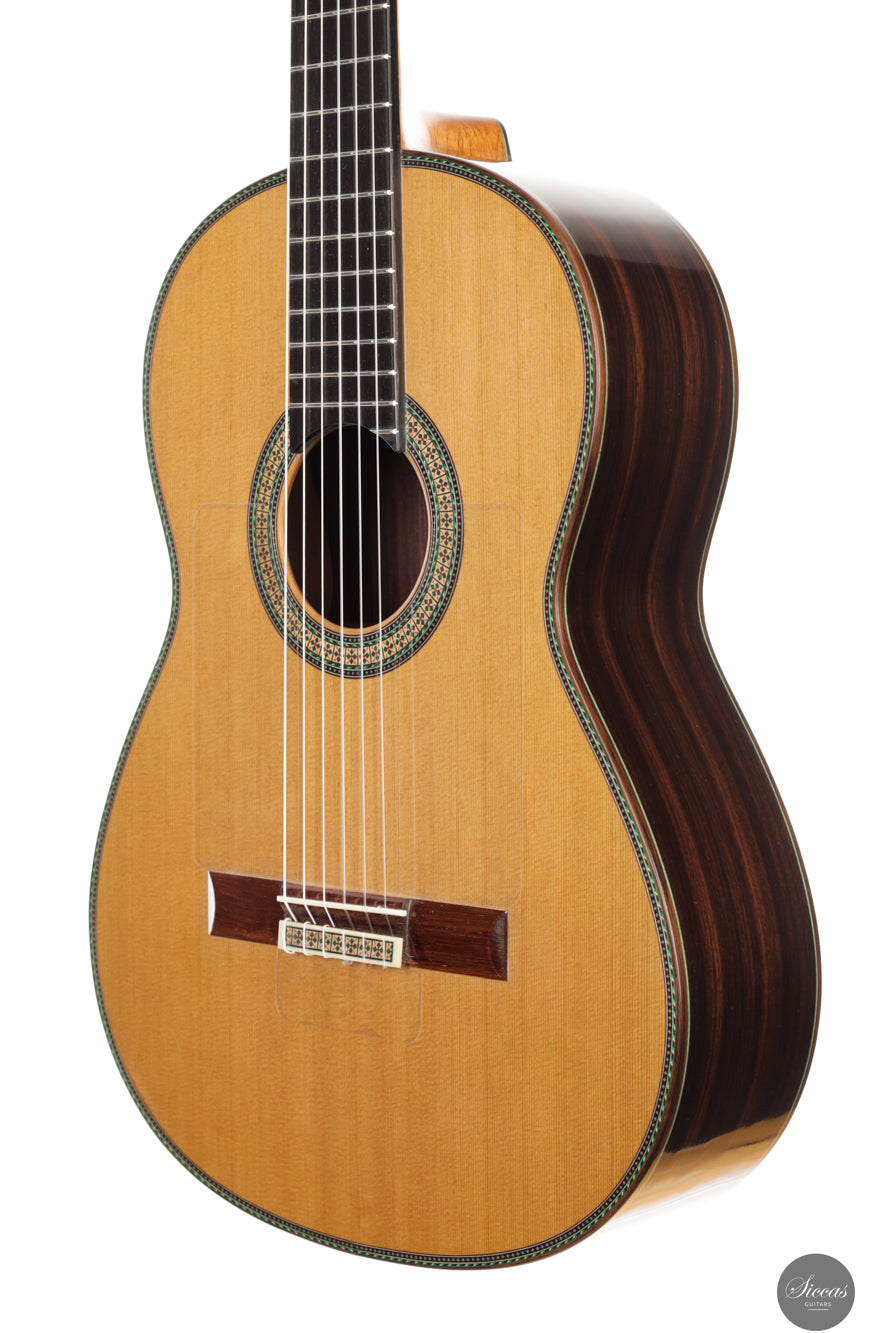 Vicente Carrillo - 2025 Maestro NX - Indian rosewood
