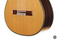 Vicente Carrillo - 2025 Maestro NX - Indian rosewood