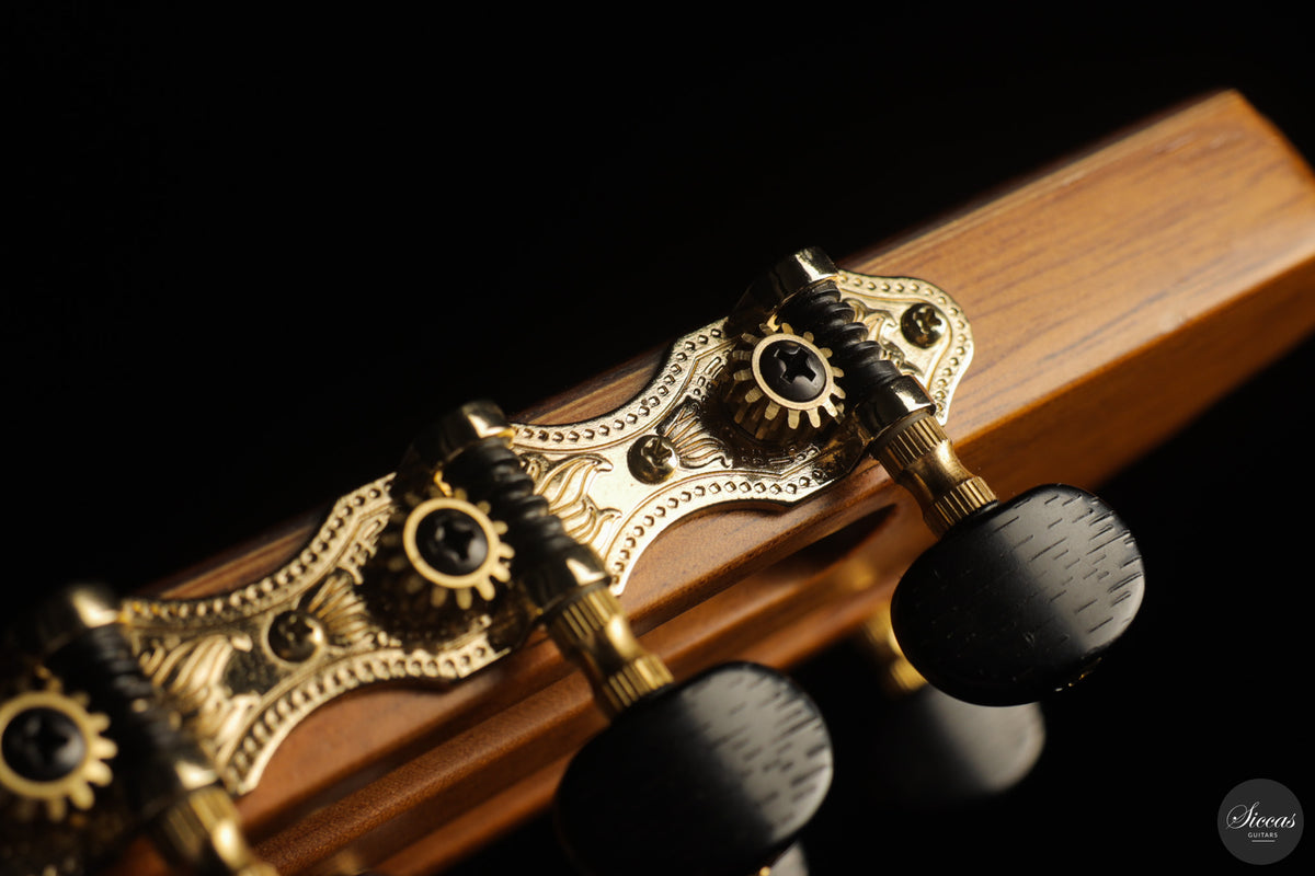 Vicente Carrillo - 7-String "Yamandu Costa" - Concierto