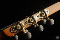 Vicente Carrillo - 7-String "Yamandu Costa" - Concierto