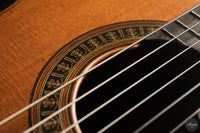 Vicente Carrillo - 7-String "Yamandu Costa" - Concierto