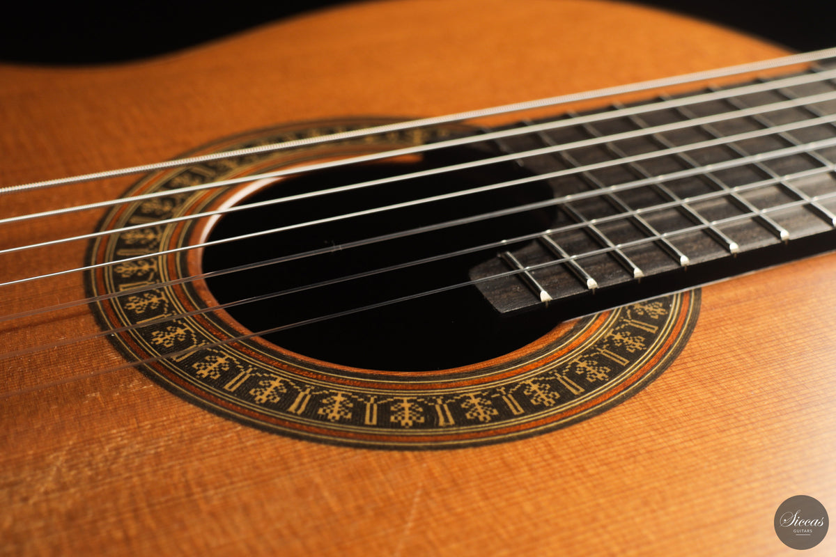 Vicente Carrillo - 7-String "Yamandu Costa" - Concierto