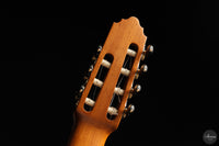 Vicente Carrillo - 7-String "Yamandu Costa" - Concierto