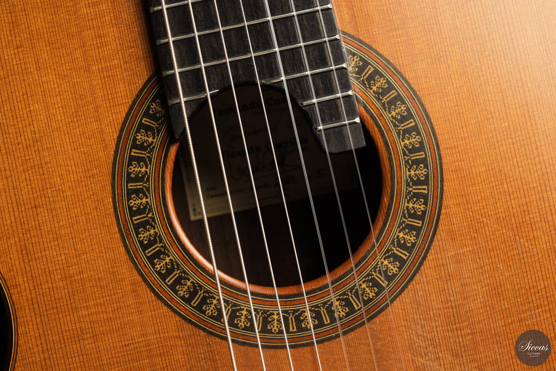 Vicente Carrillo - 7-String "Yamandu Costa" - Concierto