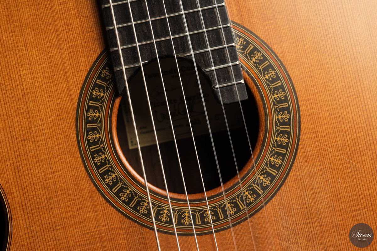 Vicente Carrillo - 7-String "Yamandu Costa" - Concierto