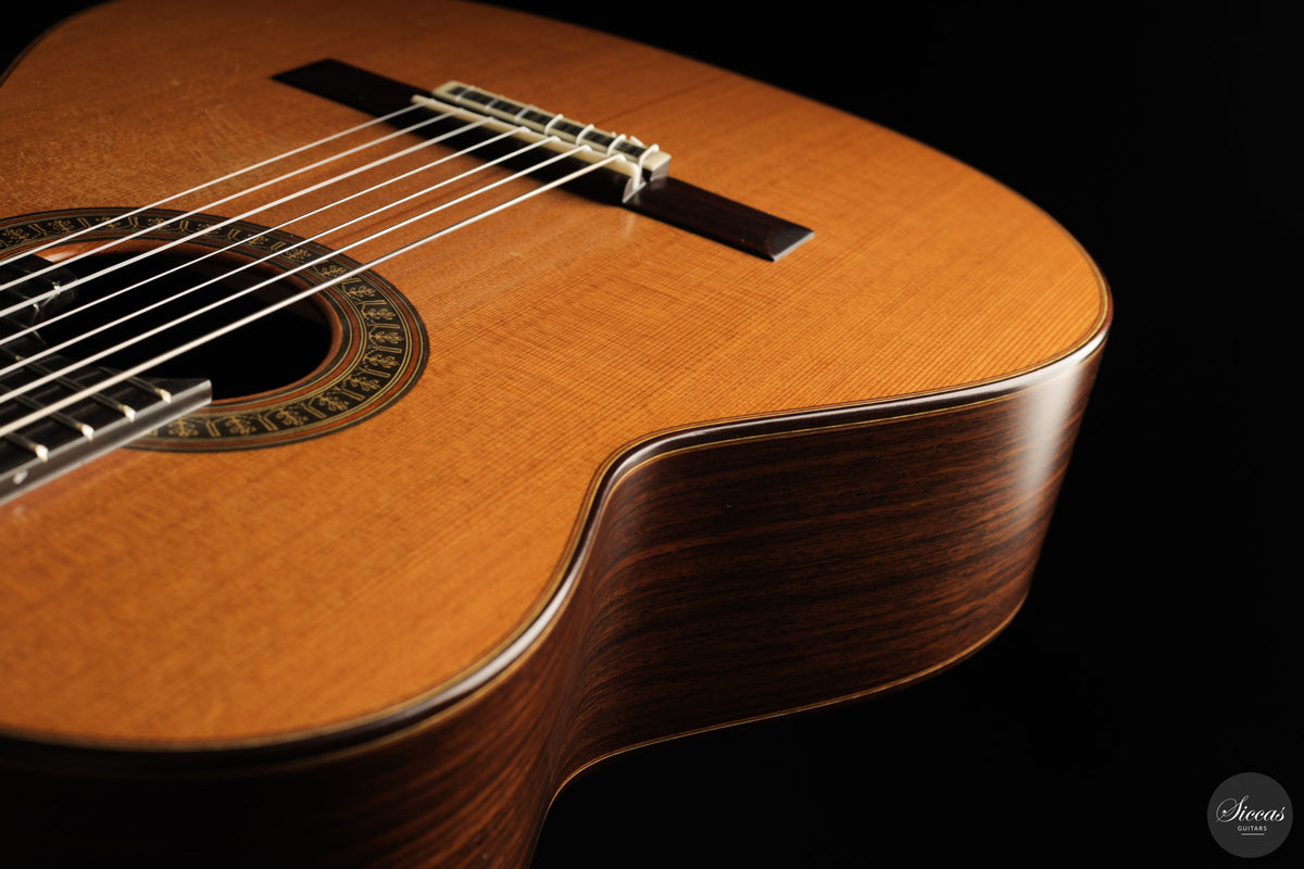 Vicente Carrillo - 7-String "Yamandu Costa" - Concierto
