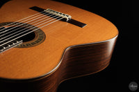 Vicente Carrillo - 7-String "Yamandu Costa" - Concierto
