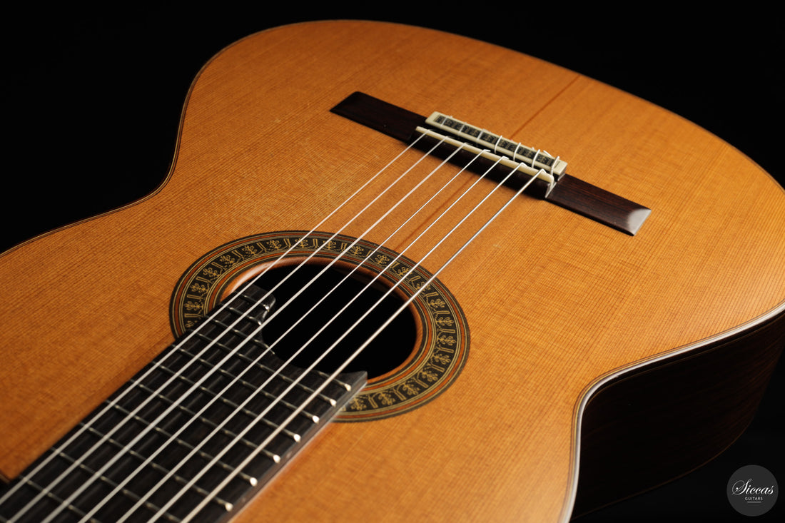 Vicente Carrillo - 7-String "Yamandu Costa" - Concierto
