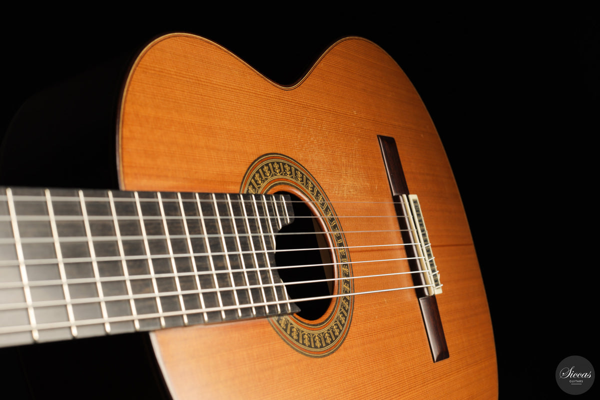 Vicente Carrillo - 7-String "Yamandu Costa" - Concierto