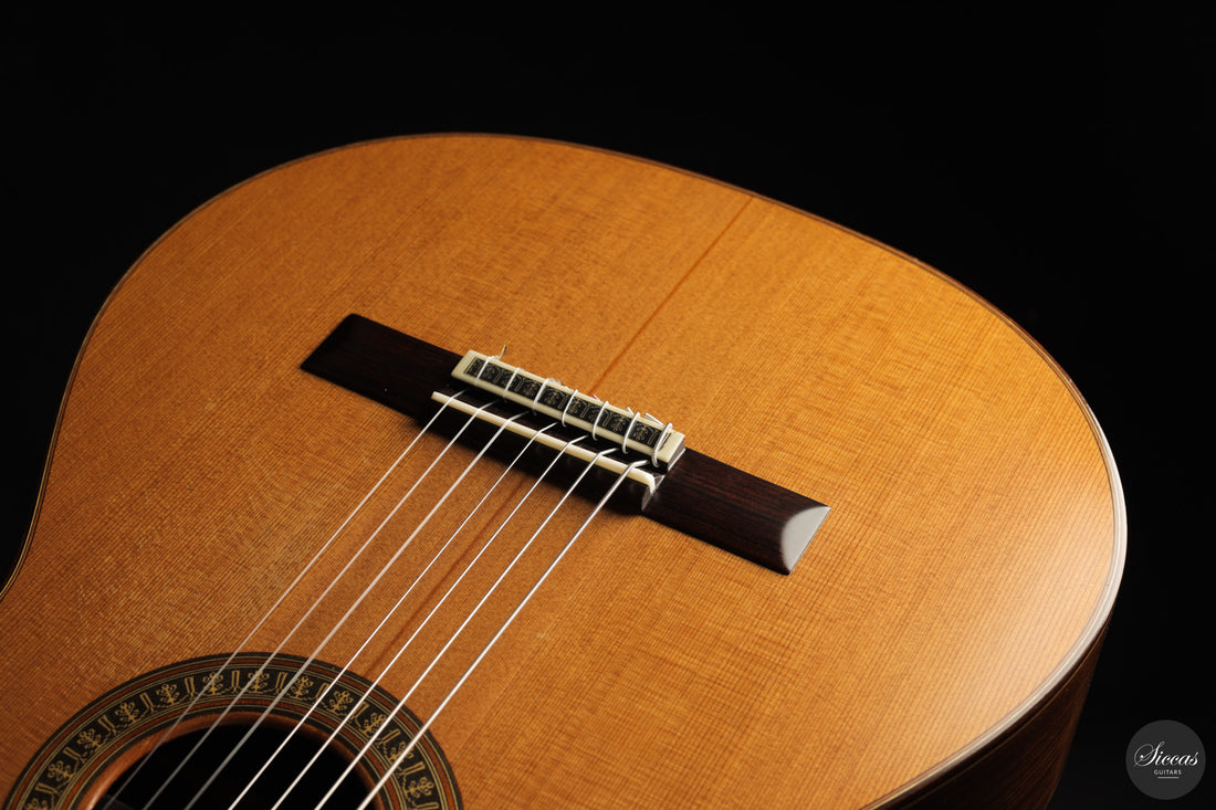 Vicente Carrillo - 7-String "Yamandu Costa" - Concierto