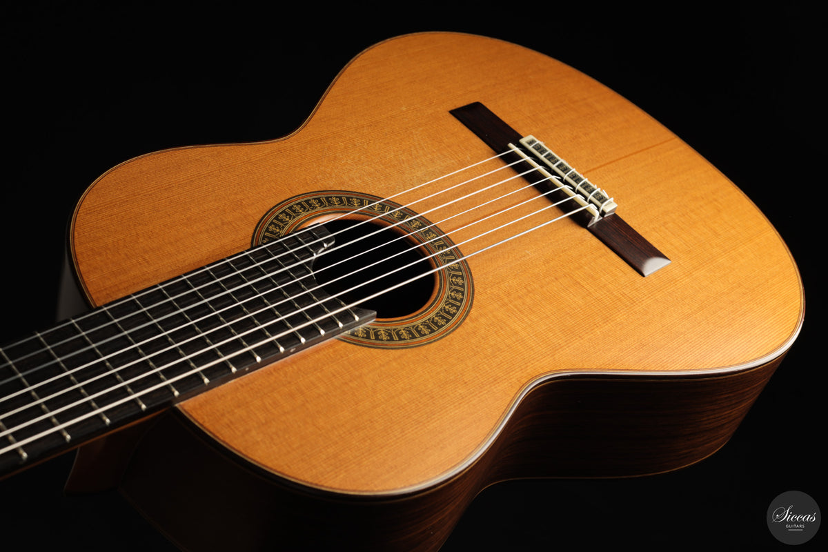 Vicente Carrillo - 7-String "Yamandu Costa" - Concierto