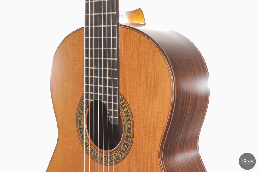 Vicente Carrillo - 7-String "Yamandu Costa" - Concierto