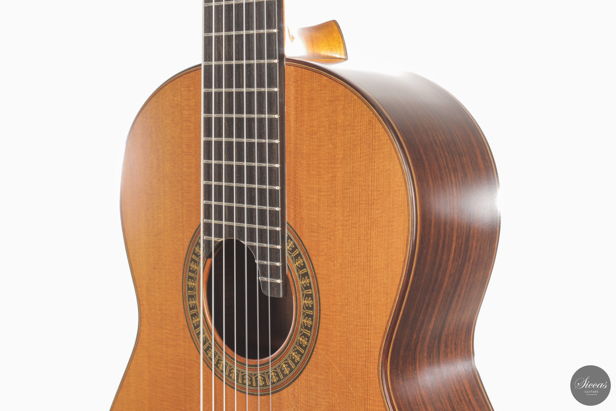 Vicente Carrillo - 7-String "Yamandu Costa" - Concierto