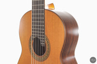 Vicente Carrillo - 7-String "Yamandu Costa" - Concierto