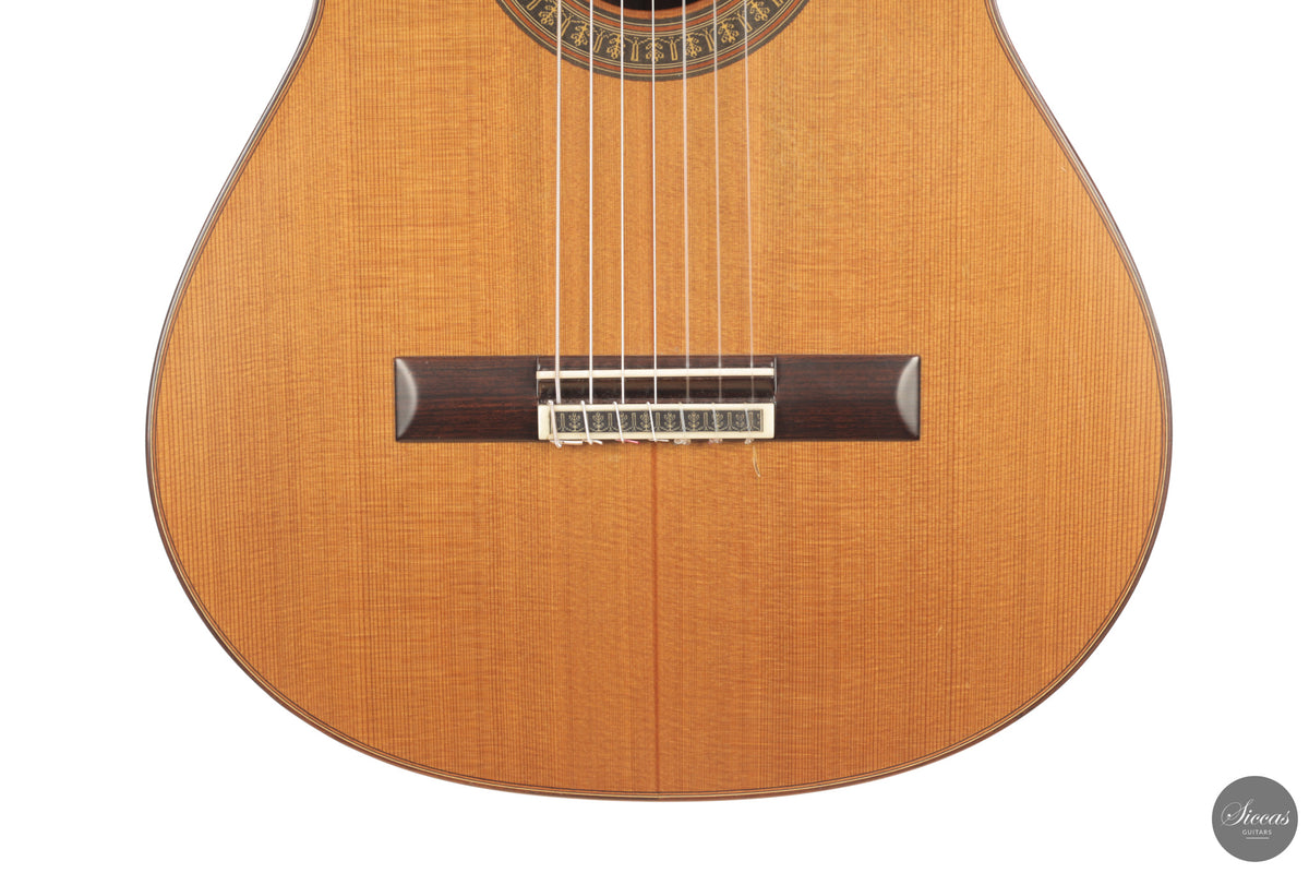 Vicente Carrillo - 7-String "Yamandu Costa" - Concierto