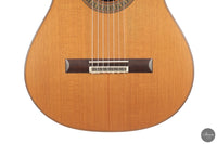 Vicente Carrillo - 7-String "Yamandu Costa" - Concierto
