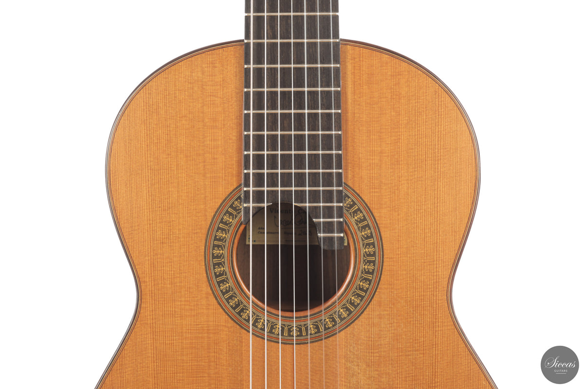Vicente Carrillo - 7-String "Yamandu Costa" - Concierto