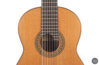 Vicente Carrillo - 7-String "Yamandu Costa" - Concierto