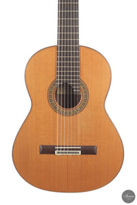 Vicente Carrillo - 7-String "Yamandu Costa" - Concierto