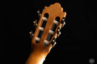 Vicente Carrillo - Maestro NX 2024 (Gernot Wagner Supervised)