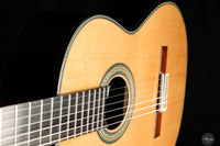 Vicente Carrillo - Maestro NX 2024 (Gernot Wagner Supervised)