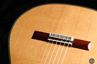 Vicente Carrillo - Maestro NX 2024 (Gernot Wagner Supervised)