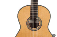 Vicente Carrillo - Maestro NX 2024 (Gernot Wagner Supervised)