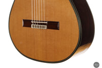 Vicente Carrillo - Maestro NX 2024 (Gernot Wagner Supervised)