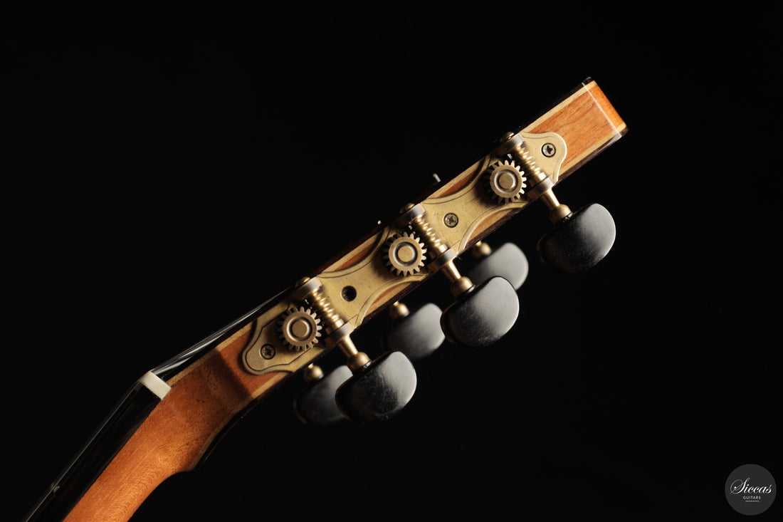 William Alama - 2025 No. 320