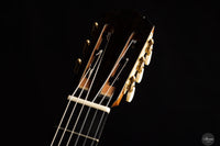 Yan Lei - 2025 No. 69 Doubletop ON HOLD