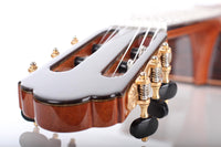 Yulong Guo - Chamber Concert 2015 Doubletop