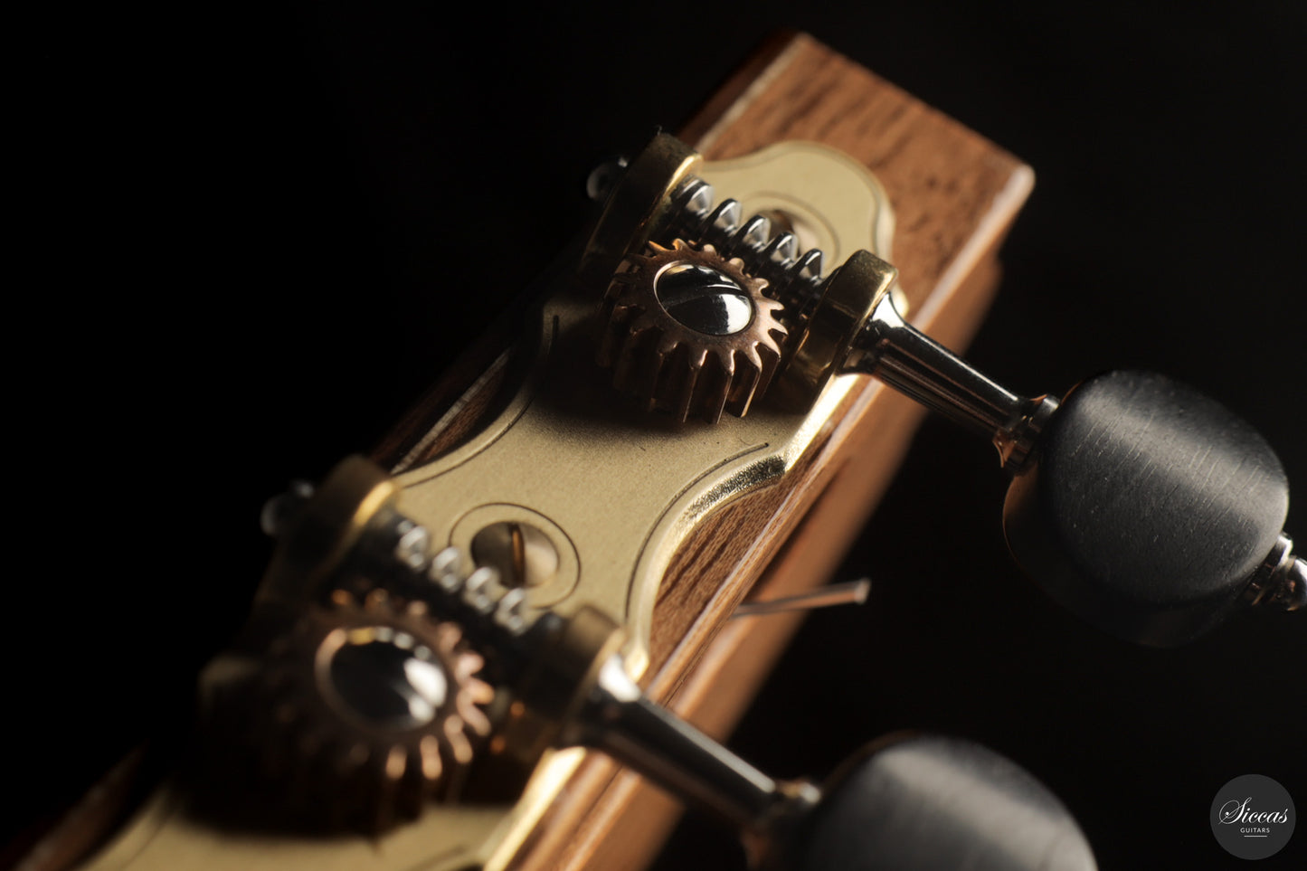 Zbigniew Gnatek - 2025 Lattice