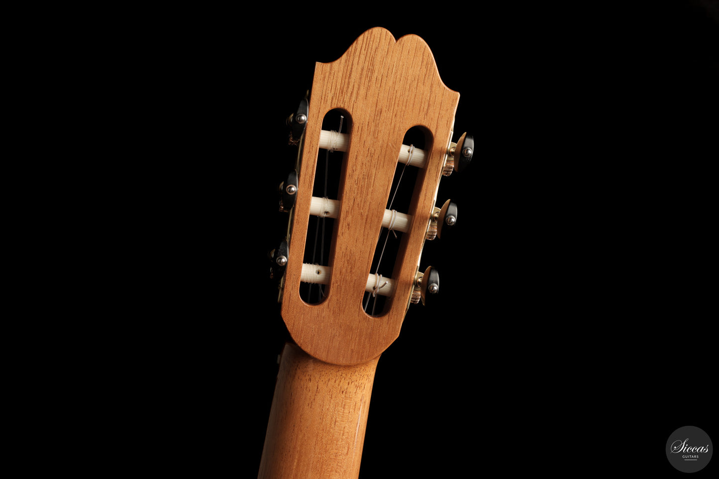 Zbigniew Gnatek - 2025 Lattice