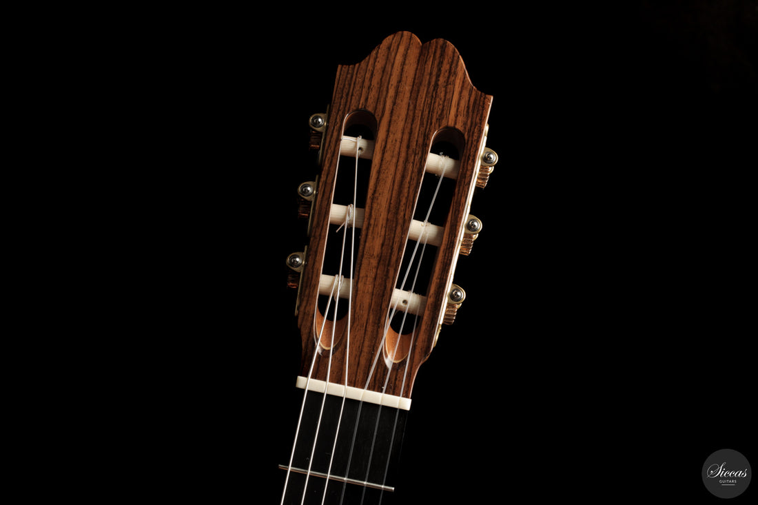 Zbigniew Gnatek - 2025 Lattice